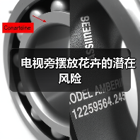 电视旁摆放花卉的潜在风险(图4) 电视旁摆放花卉的潜在风险(图4)