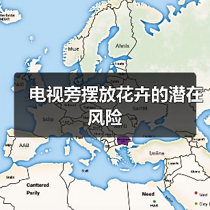 电视旁摆放花卉的潜在风险(图2) 电视旁摆放花卉的潜在风险(图2)