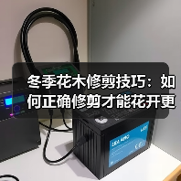 冬季花木修剪技巧:如何正确修剪才能花开更盛?(图4) 冬季花木修剪技巧:如何正确修剪才能花开更盛?(图4)