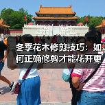 冬季花木修剪技巧:如何正确修剪才能花开更盛?(图1) 冬季花木修剪技巧:如何正确修剪才能花开更盛?(图1)