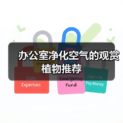 办公室净化空气的观赏植物推荐(图3) 办公室净化空气的观赏植物推荐(图3)