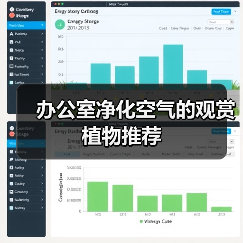 办公室净化空气的观赏植物推荐(图1) 办公室净化空气的观赏植物推荐(图1)