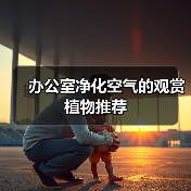 办公室净化空气的观赏植物推荐(图4) 办公室净化空气的观赏植物推荐(图4)