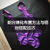 阳台绿化布置方法与植物搭配技巧（图1）