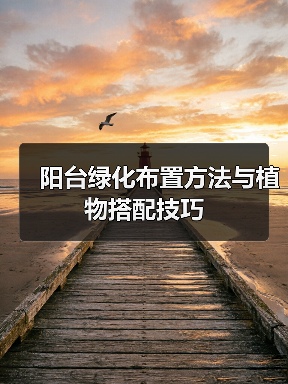 阳台绿化布置方法与植物搭配技巧（图2）