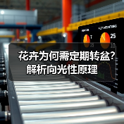 花卉为何需定期转盆？解析向光性原理（图3）