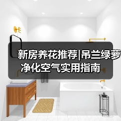 新房养花推荐|吊兰绿萝净化空气实用指南(图1) 新房养花推荐|吊兰绿萝净化空气实用指南(图1)
