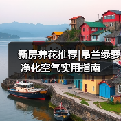 新房养花推荐|吊兰绿萝净化空气实用指南(图2) 新房养花推荐|吊兰绿萝净化空气实用指南(图2)