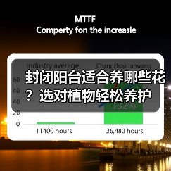 封闭阳台适合养哪些花?选对植物轻松养护(图3) 封闭阳台适合养哪些花?选对植物轻松养护(图3)