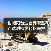 封闭阳台适合养哪些花?选对植物轻松养护(图2) 封闭阳台适合养哪些花?选对植物轻松养护(图2)