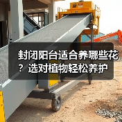 封闭阳台适合养哪些花?选对植物轻松养护(图1) 封闭阳台适合养哪些花?选对植物轻松养护(图1)