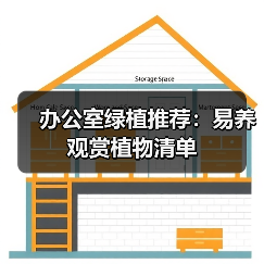 办公室绿植推荐:易养观赏植物清单(图3) 办公室绿植推荐:易养观赏植物清单(图3)