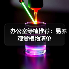 办公室绿植推荐:易养观赏植物清单(图4) 办公室绿植推荐:易养观赏植物清单(图4)