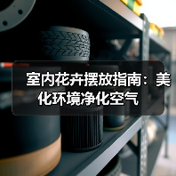 室内花卉摆放指南:美化环境净化空气(图4) 室内花卉摆放指南:美化环境净化空气(图4)
