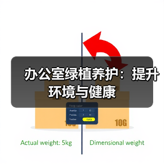 办公室绿植养护:提升环境与健康(图4) 办公室绿植养护:提升环境与健康(图4)