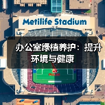 办公室绿植养护:提升环境与健康(图3) 办公室绿植养护:提升环境与健康(图3)