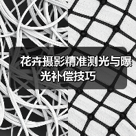 花卉摄影精准测光与曝光补偿技巧(图2) 花卉摄影精准测光与曝光补偿技巧(图2)