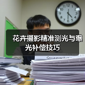 花卉摄影精准测光与曝光补偿技巧(图3) 花卉摄影精准测光与曝光补偿技巧(图3)