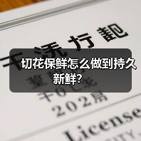 切花保鲜怎么做到持久新鲜?(图4) 切花保鲜怎么做到持久新鲜?(图4)