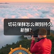 切花保鲜怎么做到持久新鲜?(图2) 切花保鲜怎么做到持久新鲜?(图2)