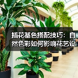 插花基色搭配技巧：自然色彩如何影响花艺设计？（图2）