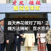 夏天养花做对了吗？正确方法揭秘：喜水喜光植物养护与防蚊技巧（图1）