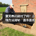 夏天养花做对了吗？正确方法揭秘：喜水喜光植物养护与防蚊技巧（图2）