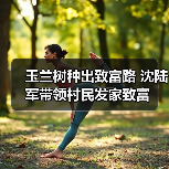 玉兰树种出致富路 沈陆军带领村民发家致富(图4) 玉兰树种出致富路 沈陆军带领村民发家致富(图4)