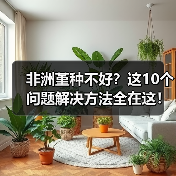 非洲堇种不好?这10个问题解决方法全在这!(图3) 非洲堇种不好?这10个问题解决方法全在这!(图3)