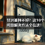 非洲堇种不好?这10个问题解决方法全在这!(图4) 非洲堇种不好?这10个问题解决方法全在这!(图4)