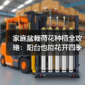 家庭盆栽荷花种植全攻略:阳台也能花开四季(图2) 家庭盆栽荷花种植全攻略:阳台也能花开四季(图2)