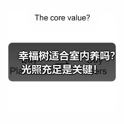 幸福树适合室内养吗?光照充足是关键!(图2) 幸福树适合室内养吗?光照充足是关键!(图2)