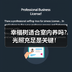 幸福树适合室内养吗?光照充足是关键!(图3) 幸福树适合室内养吗?光照充足是关键!(图3)