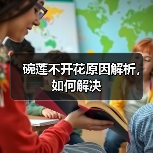 碗莲不开花原因解析,如何解决(图1) 碗莲不开花原因解析,如何解决(图1)