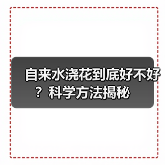 自来水浇花到底好不好？科学方法揭秘（图2）
