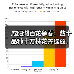 咸阳湖百花争春：数十品种十万株花卉绽放，错过等一年（图1）