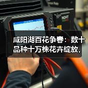 咸阳湖百花争春：数十品种十万株花卉绽放，错过等一年（图2）