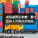 咸阳湖百花争春：数十品种十万株花卉绽放，错过等一年（图4）