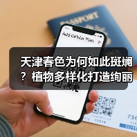 天津春色为何如此斑斓?植物多样化打造绚丽景观(图4) 天津春色为何如此斑斓?植物多样化打造绚丽景观(图4)