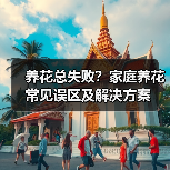 养花总失败?家庭养花常见误区及解决方案(图1) 养花总失败?家庭养花常见误区及解决方案(图1)