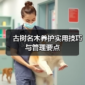 古树名木养护实用技巧与管理要点(图3) 古树名木养护实用技巧与管理要点(图3)