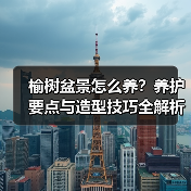 榆树盆景怎么养?养护要点与造型技巧全解析(图4) 榆树盆景怎么养?养护要点与造型技巧全解析(图4)