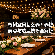 榆树盆景怎么养?养护要点与造型技巧全解析(图3) 榆树盆景怎么养?养护要点与造型技巧全解析(图3)
