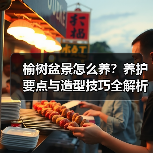榆树盆景怎么养?养护要点与造型技巧全解析(图2) 榆树盆景怎么养?养护要点与造型技巧全解析(图2)