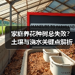家庭养花种树总失败？土壤与浇水关键点解析（图3）