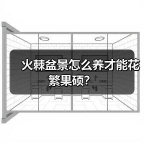 火棘盆景怎么养才能花繁果硕?(图4) 火棘盆景怎么养才能花繁果硕?(图4)