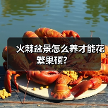 火棘盆景怎么养才能花繁果硕?(图2) 火棘盆景怎么养才能花繁果硕?(图2)