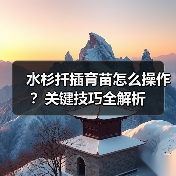 水杉扦插育苗怎么操作?关键技巧全解析(图2) 水杉扦插育苗怎么操作?关键技巧全解析(图2)