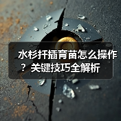 水杉扦插育苗怎么操作?关键技巧全解析(图1) 水杉扦插育苗怎么操作?关键技巧全解析(图1)