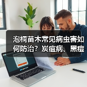 泡桐苗木常见病虫害如何防治?炭疽病、黑痘病、网蝽防治全攻略(图4) 泡桐苗木常见病虫害如何防治?炭疽病、黑痘病、网蝽防治全攻略(图4)